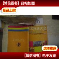 美术技法大全商业橱窗设计制作..