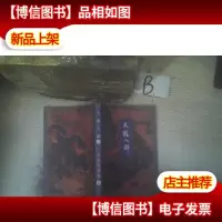 天龙八部 二 ..