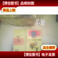 五个孩子和凤凰与魔毯