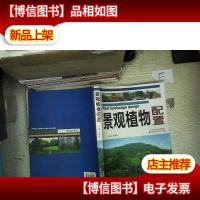 景观植物配置