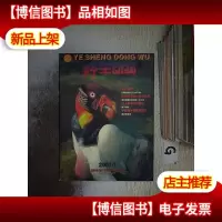 野生动物 2001 1