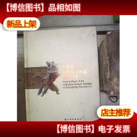 广东省非物质文化遗产名录图典(一)