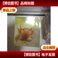 诞生了!小鲵