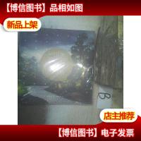 匠心画境-珠海横琴长隆国际旅游度假区罗汉松造景赏析