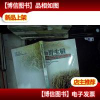 利用野生稻培育丝苗米品种的研究