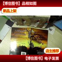 黑鹤动物文学系列:黄昏夜鹰