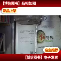 小世界(全球整合重塑中国商业模式)