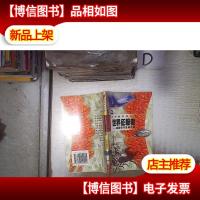 历史爱好者丛书:世界征服者 成吉思汗及其子孙 。