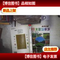 高尔夫球场草坪/草坪全景