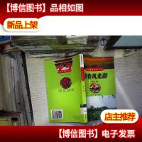 齐鲁风光游——中国旅游热线丛书