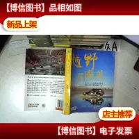 越野越南美 .