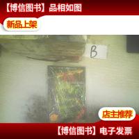 龙骑士08:追寻狼堡迷踪