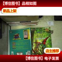小笨熊生态文学儿童读物·动物童话百科绘本:空中霸主翼龙
