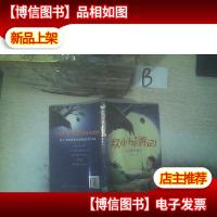 坏小子环游记·1:乌鸦的诡计