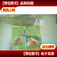 经典名犬系列1博美犬