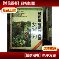 彩图家庭花草种植大百科