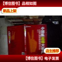 《小团队赢得大客户》 。