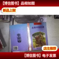 丛林中的印迹