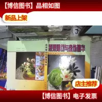 蔬果雕切与盘饰精华