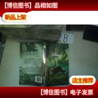灵兽系列:寻猎征途