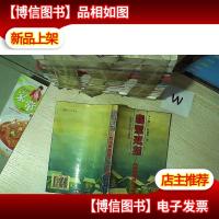 翡翠戒指:赵淑侠短篇小说自选集