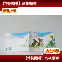 风儿花儿和蒲公英