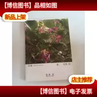 年华是无效信