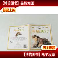 小小孩大开眼界 两栖爬行