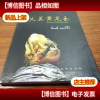 大美黄龙玉