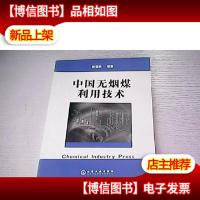 中国无烟煤利用技术