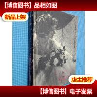 茶花女:小说话剧歌剧