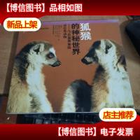 狐猴的神秘世界:马达加斯加独有的狐猴全景.