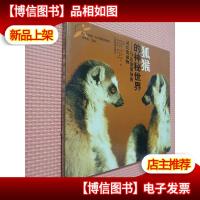 狐猴的神秘世界:马达加斯加独有的狐猴全景