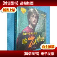 我的哈利·波特:哈7大猜想