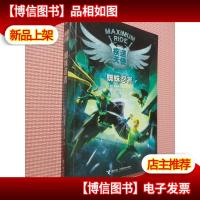 疾速天使:蜘蛛忍者