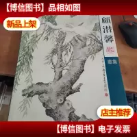 顾潜馨画集