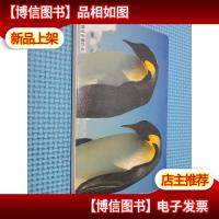 罗红南极帝企鹅作品 明信片12张.