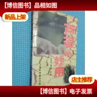 芦荟的妙用.