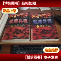 晚清兵魂(全两册)