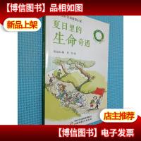 知心书系生命教育小说——夏日里的生命奇遇