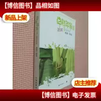草样年华3:跑调的青春