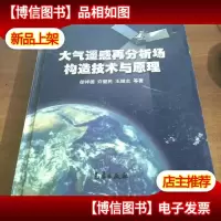 大气遥感再分析场构造技术与原理