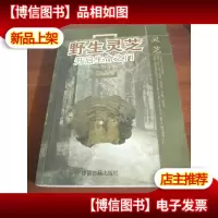 野生灵芝探秘与应用