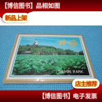 北海 10张明信片