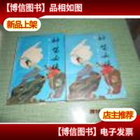 神笛女侠(上下册)