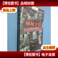 神秘火焰·斯蒂芬·金恐怖小说集