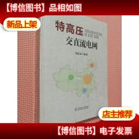 特高压交直流电网