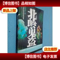 北岭鬼盗