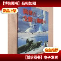 徜徉在企鹅与海豹间