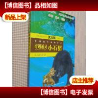 中国野生动物传奇-奇遇通灵小石貂